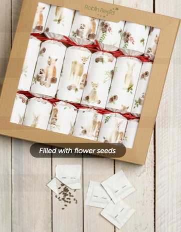 6 x 12" (30cm) Handmade Christmas Crackers by Robin Reed - ECO Animal Magic with flower seeds - 62052